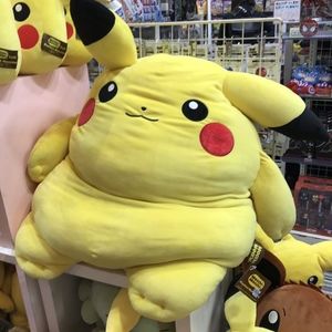 Meet your Posher, Sofia